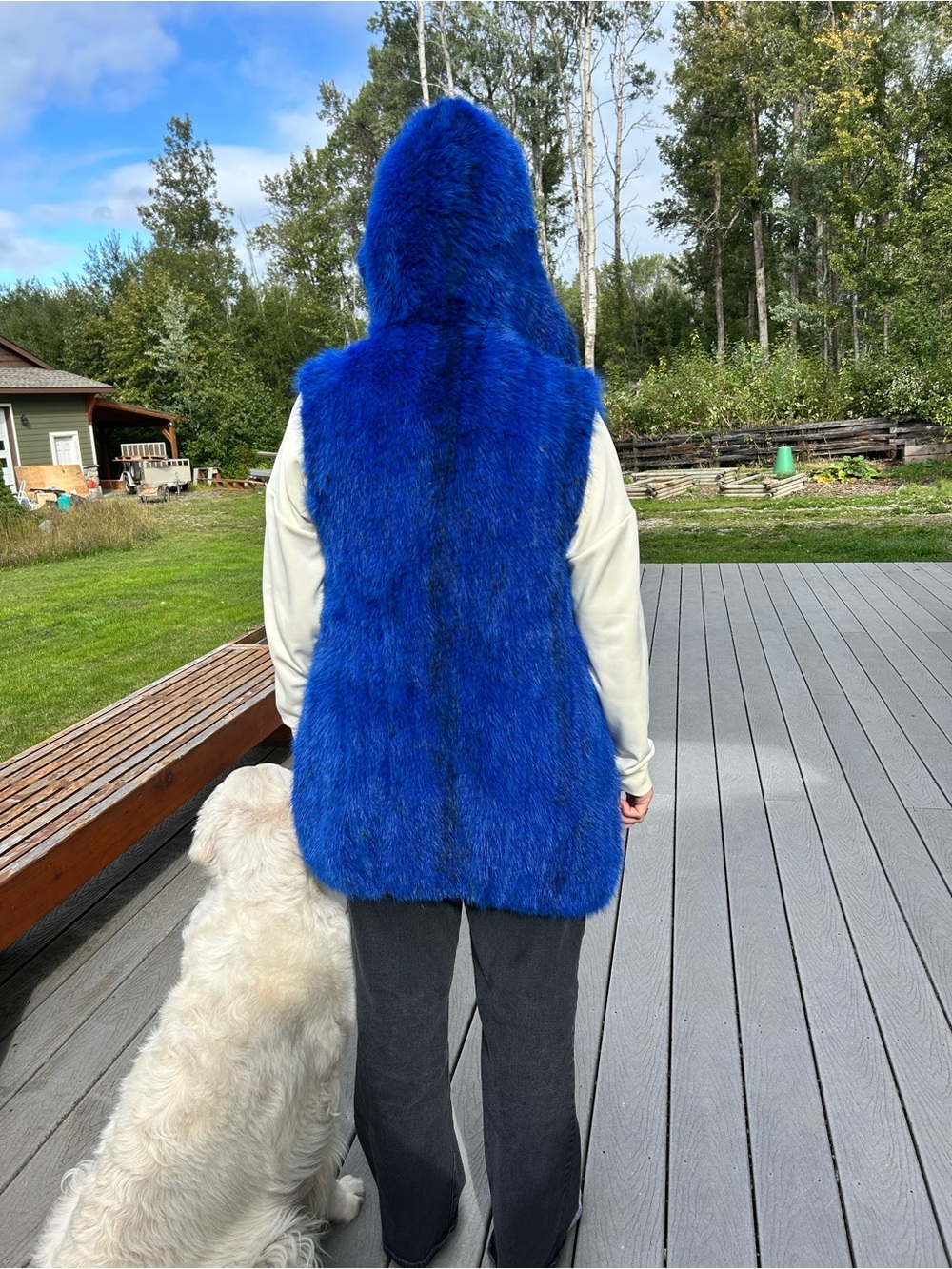 Women’s Royal Blue Sheared Mink Knitted Hooded Vest